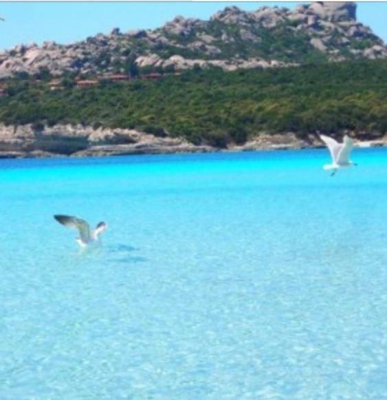 Gg Luxury Apartments - Santa Teresa Di Gallura Extérieur photo